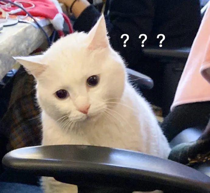 表情包:猛虎落泪