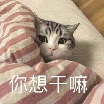 表情包:猛虎落泪