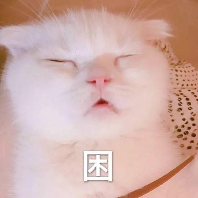 表情包:猛虎落泪