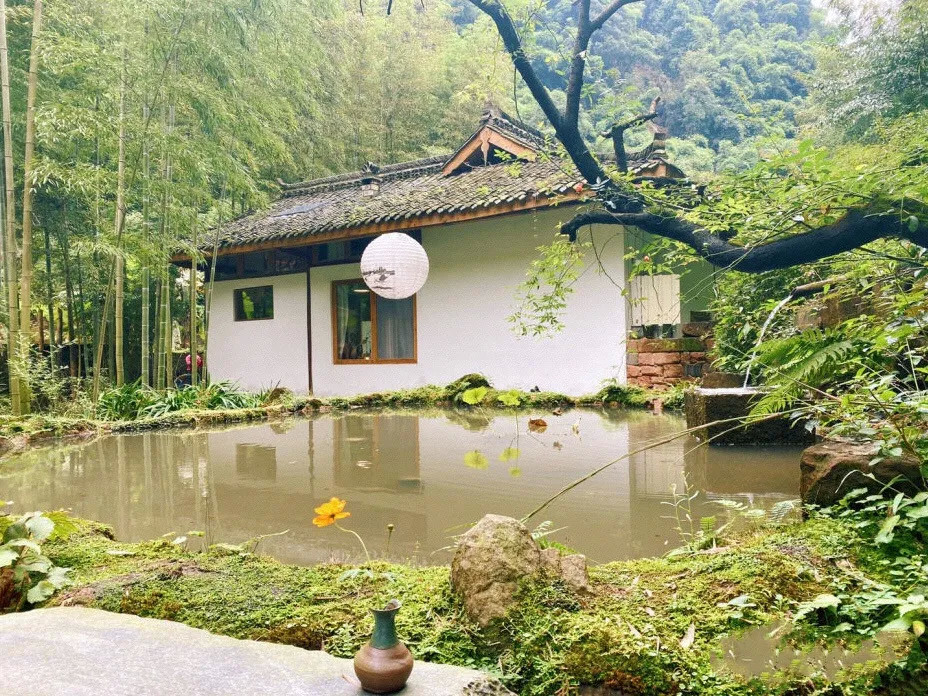 邛崃芦沟竹海