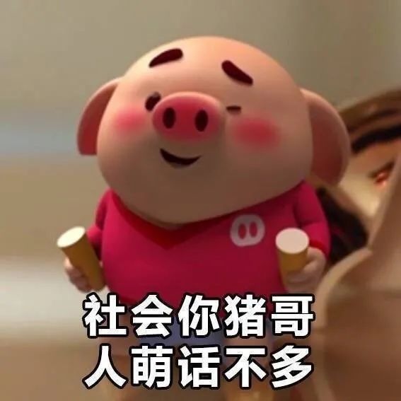 表情包:虽然我抽烟喝酒混夜店 但我仍然是一只好猪