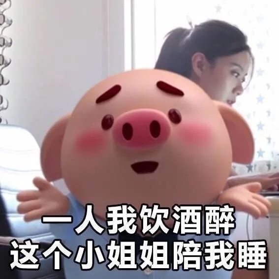 表情包:虽然我抽烟喝酒混夜店 但我仍然是一只好猪