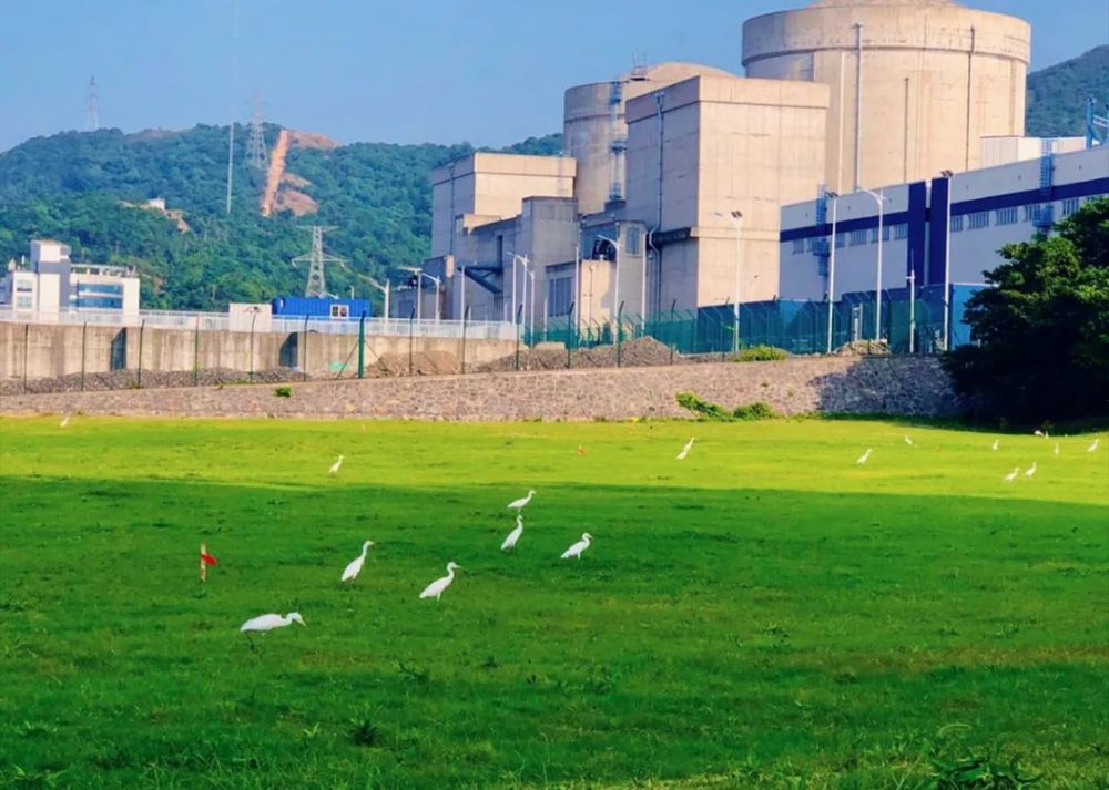 秦山核电已安全运行132堆/年 累计发电6400亿千瓦时