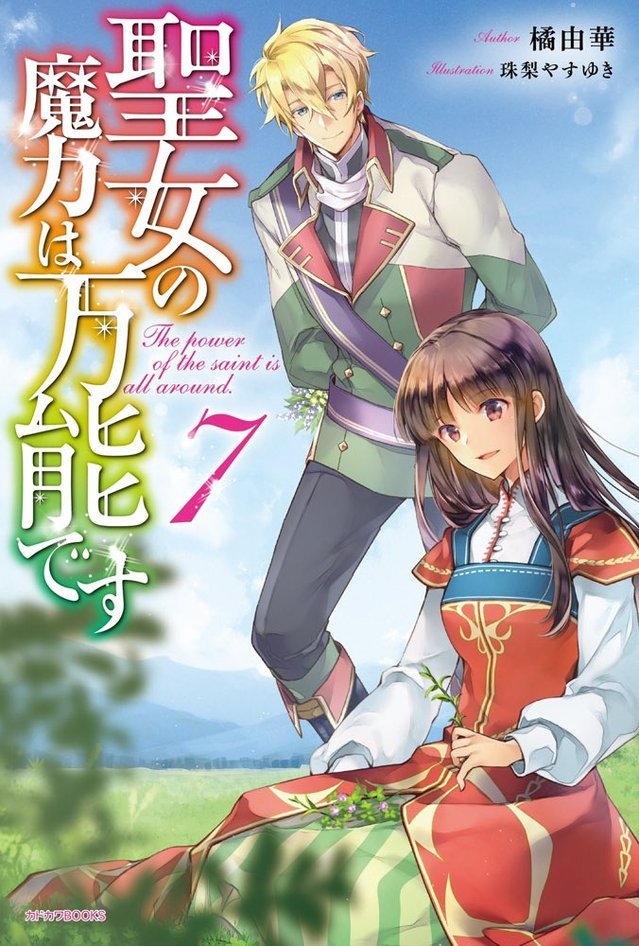 珠梨やすゆき负责插画的轻小说作品,同名漫画由日本漫画家藤小豆执笔