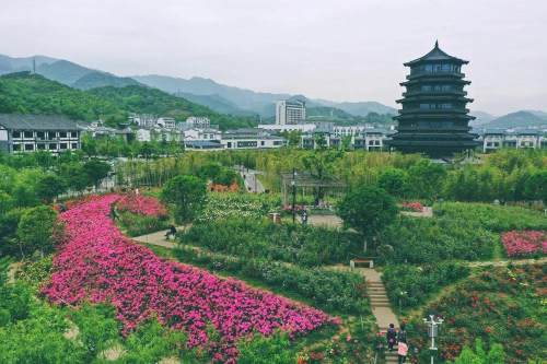 浪漫夏日,来石泉的秦巴风情园感受月季花海吧