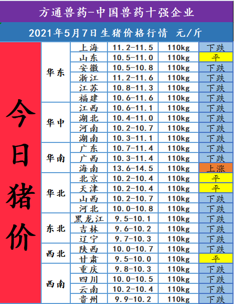 2021年5月7日今日猪价