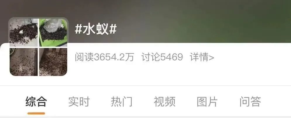 雨后,韶关人最讨厌的"大水蚊"来了!街坊家里惨遭入侵!