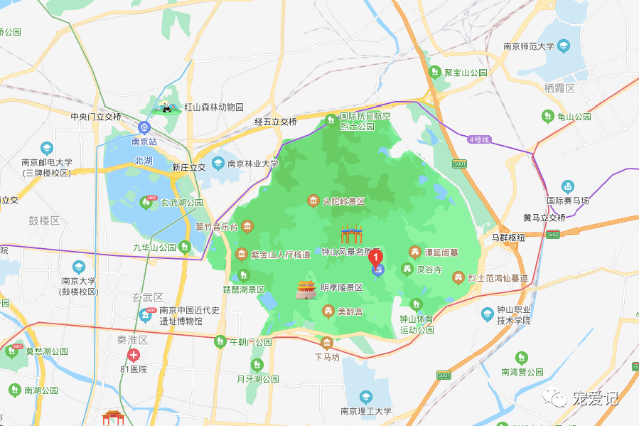 江苏南京玄武区允许带狗带猫带宠物的公园和景区《宠物友好地图》