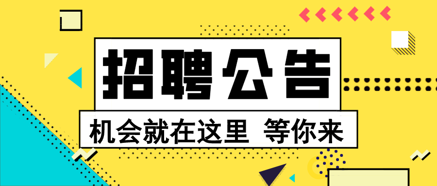 北京电子招聘_解决户口和编制 一大波教师招聘信息来了(5)