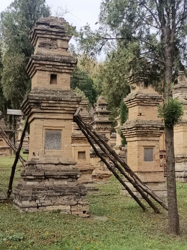 少林寺塔林现状堪忧 维修保护迫在眉睫|古塔|河南|登封市|塔铭|塔林