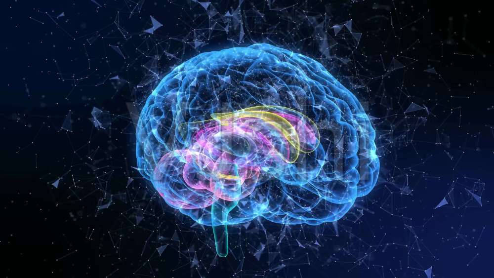 美国科学家惊人之语,宇宙是一个超级大脑,人类活在神经网络中?