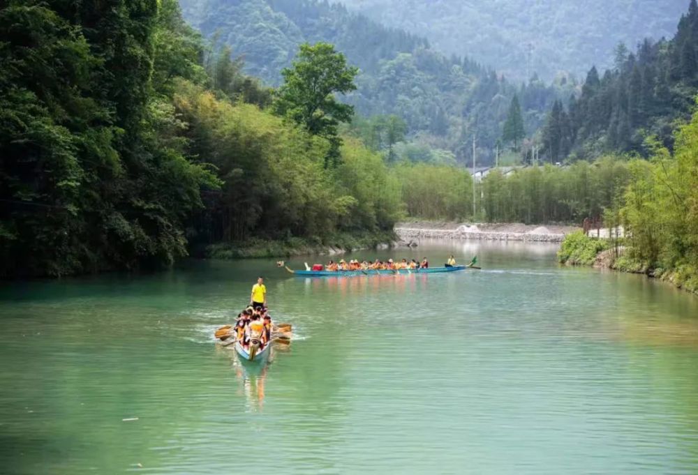 【宜昌真秀美·秭归】三峡竹海