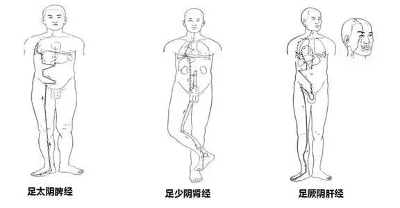 因此 踮脚走路可以按摩足三阴经,可以驭气上行,通过足少阴肾经温补