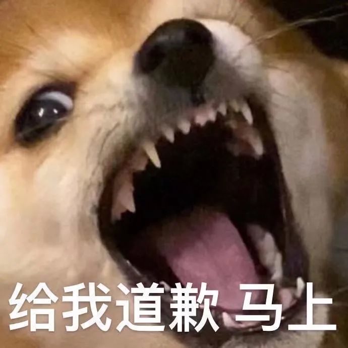 搞笑表情包:肥宅大哭
