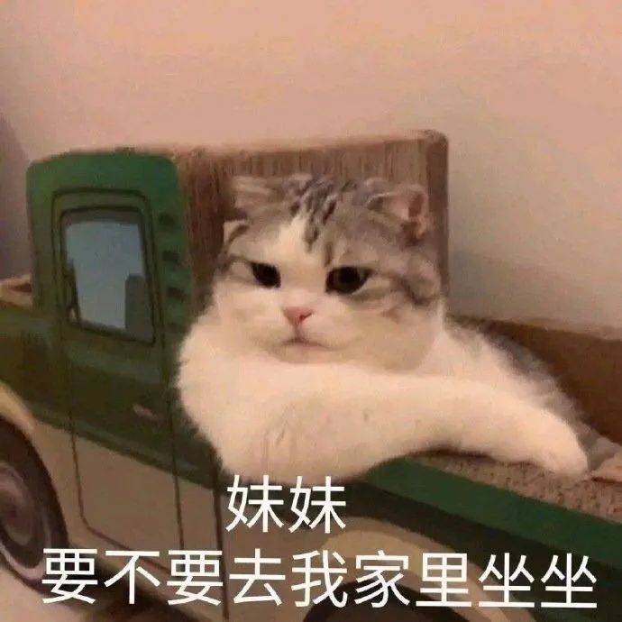 搞笑表情包:肥宅大哭