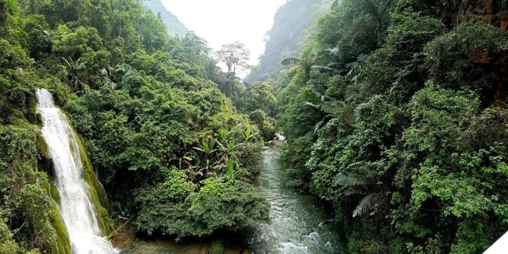 从天而降的瀑布 珍稀的植物,绝美的风景…… 这一切就在个旧绿水河