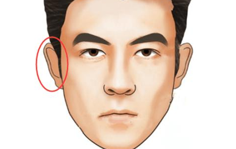 这样的男人,大多夫妻缘比较好,福报也很深,大多能被优秀的女人们看上