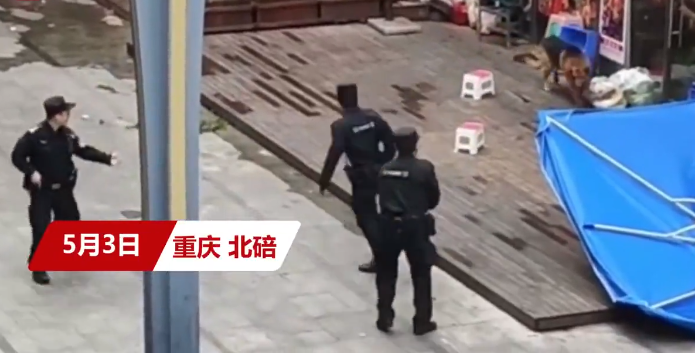 重庆一德牧犬闹市伤人,被民警当场击毙,网友质疑:应该