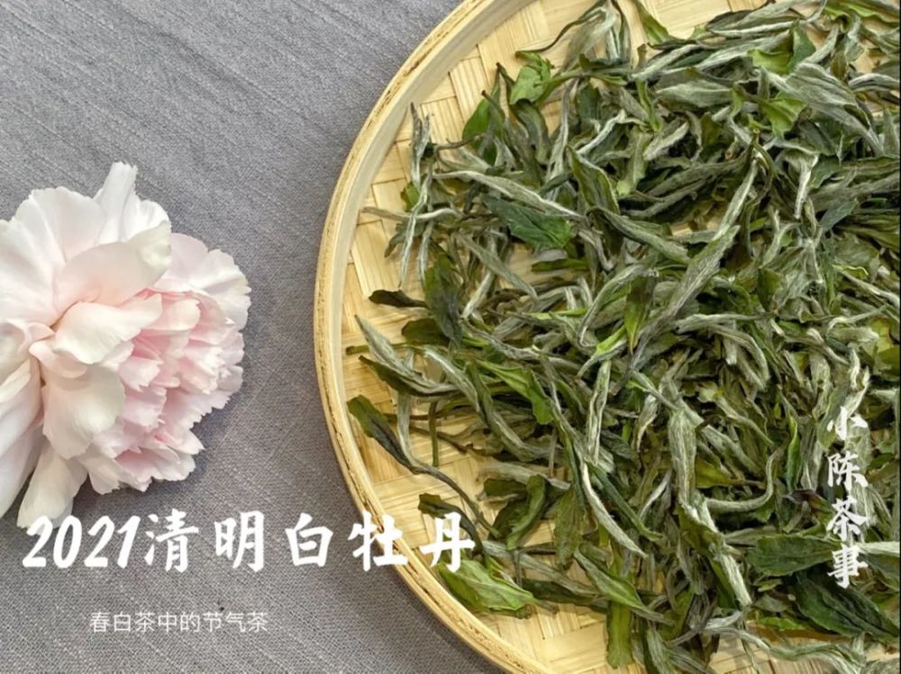 试了二十多款今年的春白茶,有寿眉,有白牡丹,有银针,都很稠滑