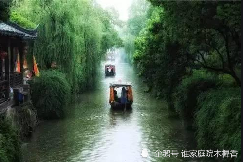 一川烟草,满城风絮,梅子黄时雨.贺铸诗词里的初夏,美不胜收