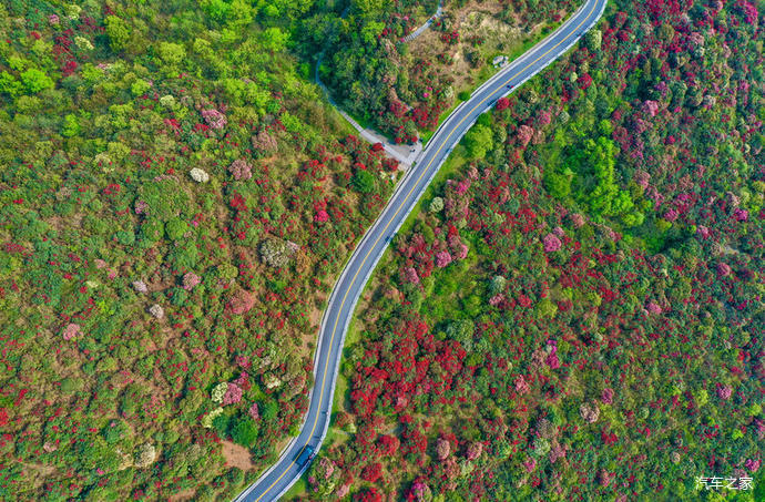 龙场九驿—览胜峰—锦鸡箐—画眉岭—马缨林—古道遗迹 4/百里杜鹃