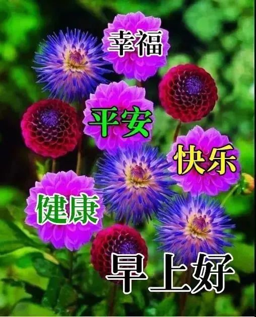 最新漂亮风景早上好图片带字带祝福语,早上发朋友圈很