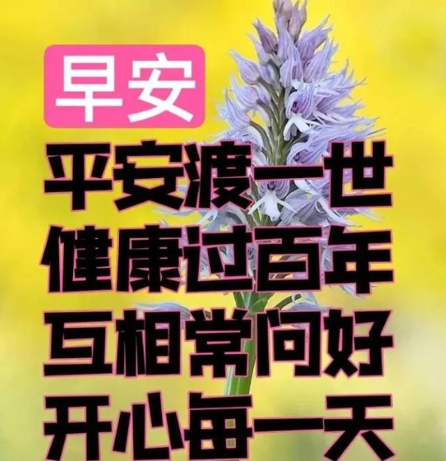 最新漂亮风景早上好图片带字带祝福语,早上发朋友圈很