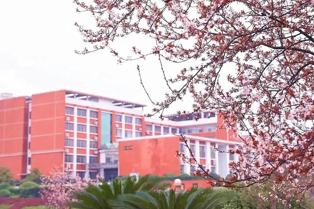 兴湘学院 腾讯网