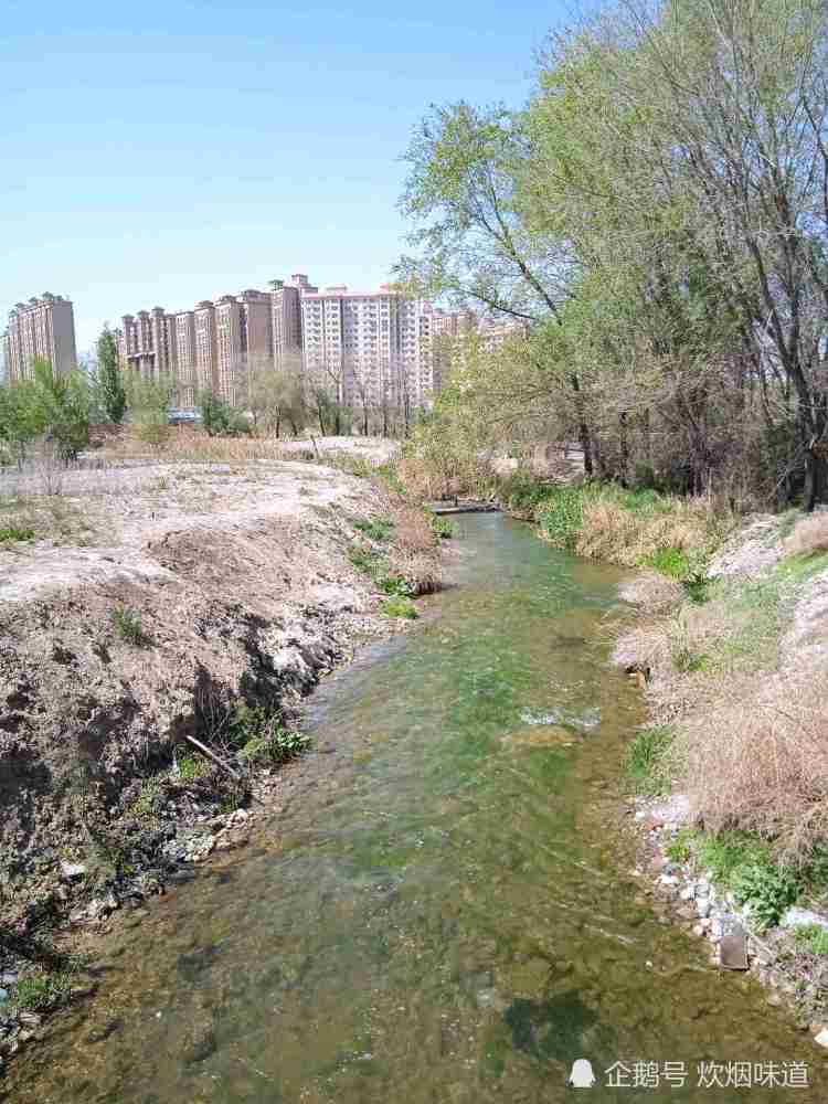 乌鲁木齐市城区最大的河流水磨河,有一段河道杂草丛生