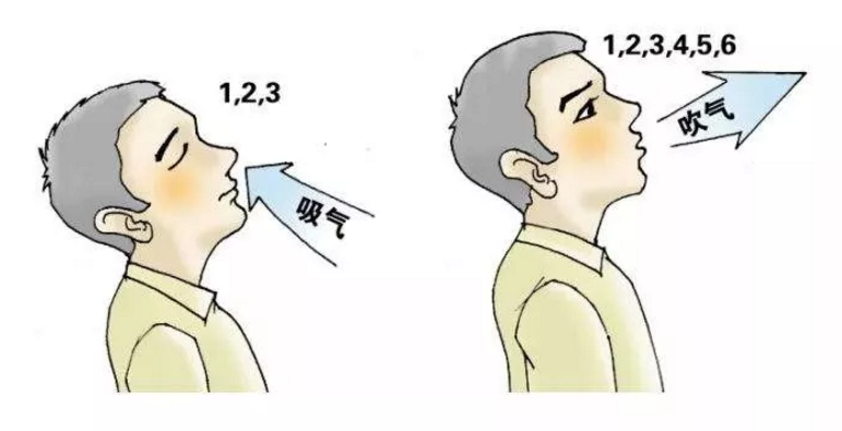 缩唇呼吸训练的具体方法是: 1, 坐位或半卧位,指导其用鼻吸气,并将其