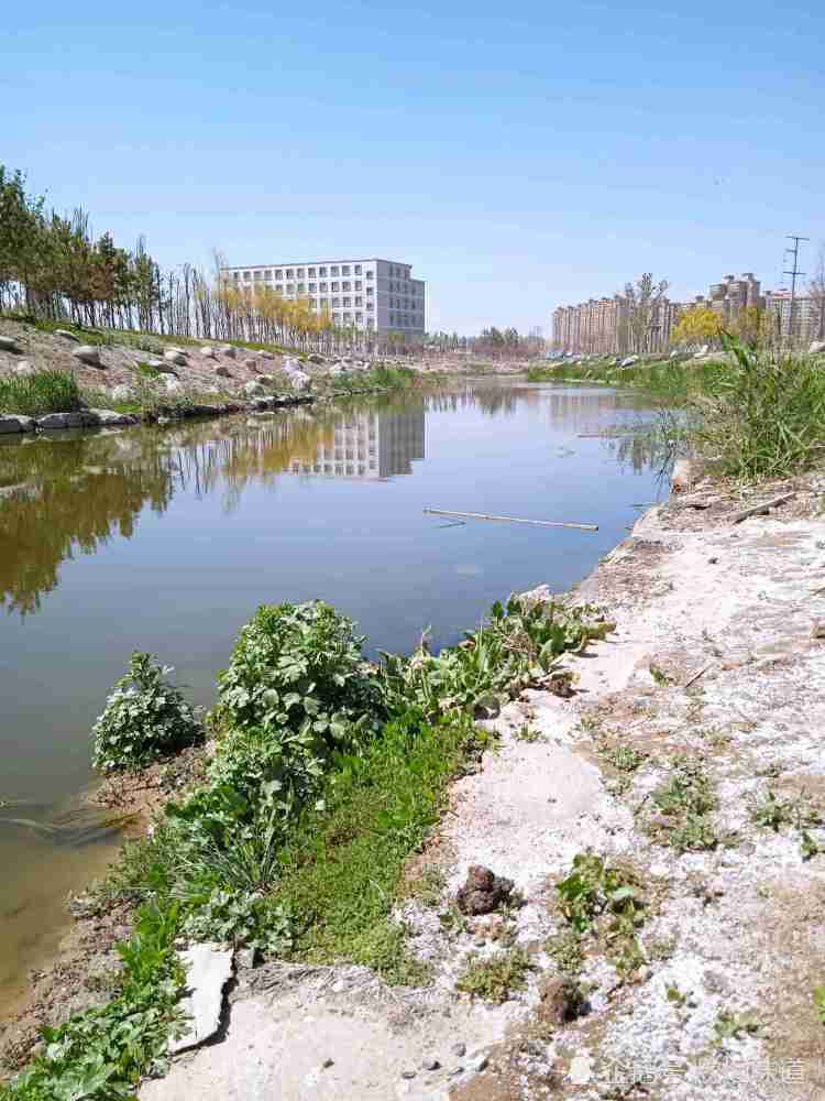 乌鲁木齐水磨河荷香园风光,很多市民都没来过