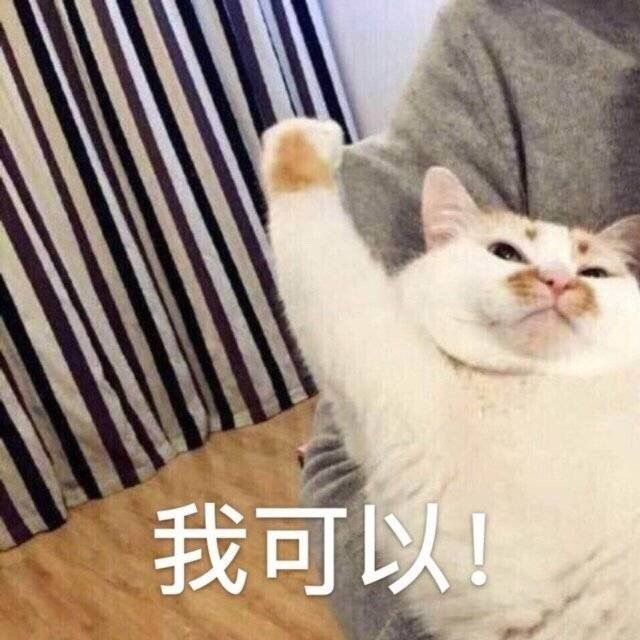 "难过时发给自己小号的励志表情包"