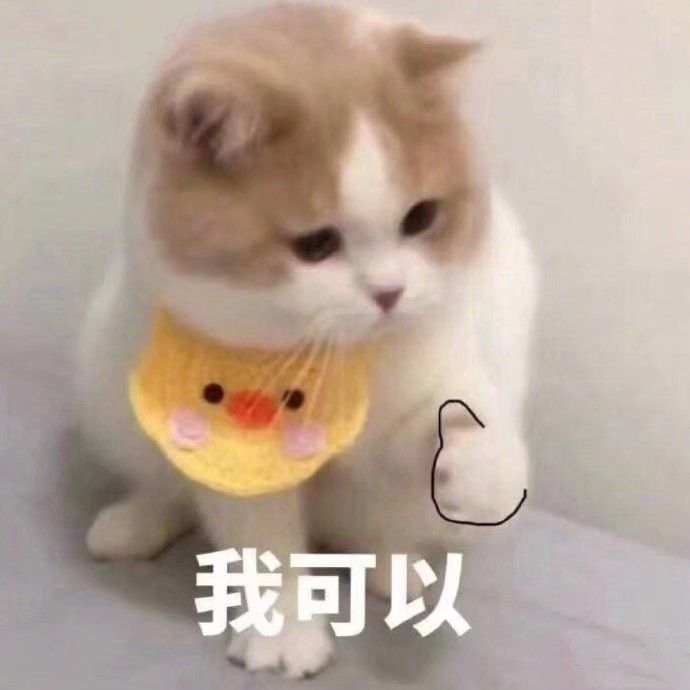 "难过时发给自己小号的励志表情包"