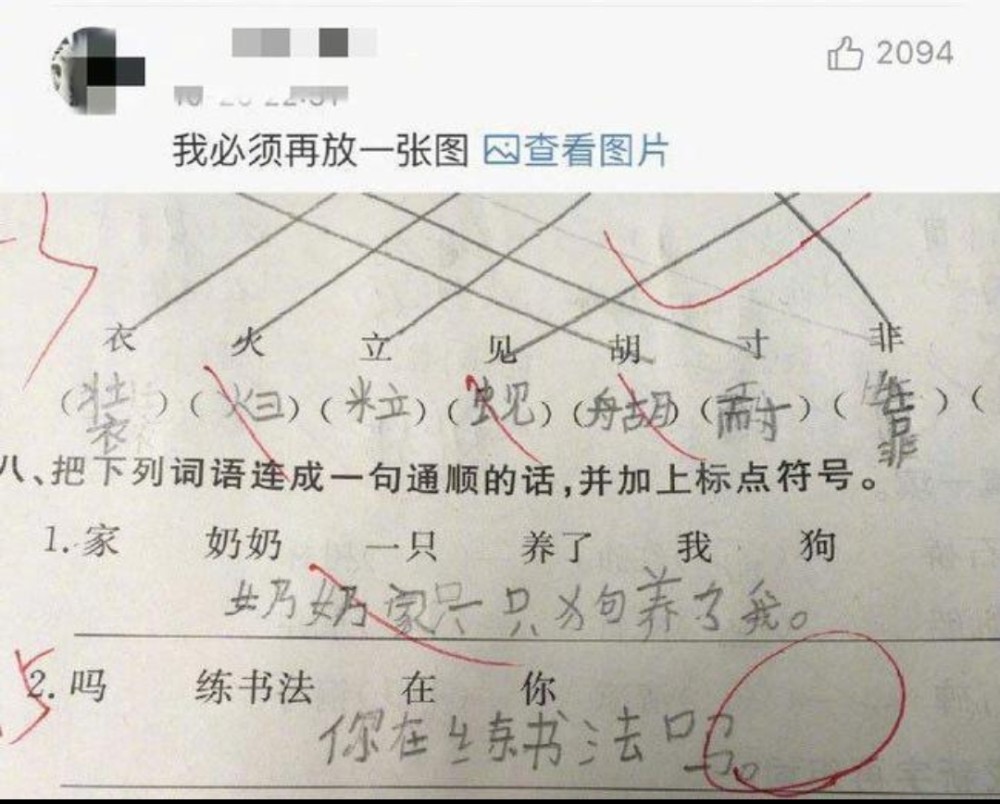 盘点小学生的那些奇葩作业(爆笑)