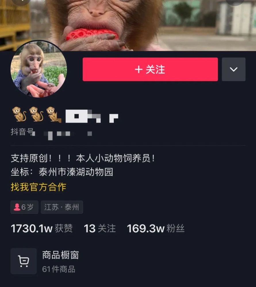 饲养员直播给猴子化妆?泰州一动物园回应!网友看不下去了