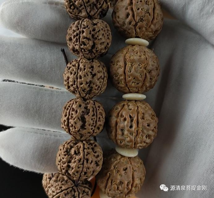 金刚菩提圈最大骗局印尼大金刚实为落地红
