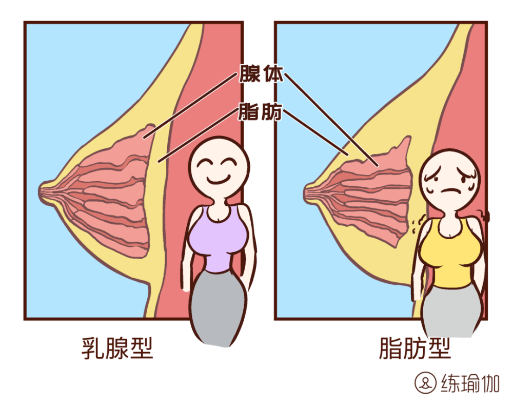 想要瘦胸 首先你得了解自己是哪种胸 是乳腺型还是脂肪型 乳腺型