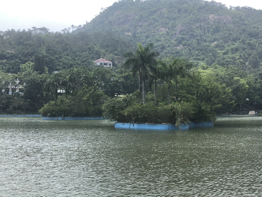 【花都芙蓉嶂,栈桥·水库·古庙·观景台,一座山,休闲