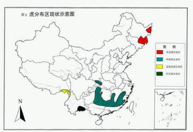 大兴安岭是东北虎的分布区吗?为何没有一头老虎?