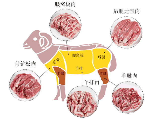 乙肝人群不能吃羊肉医生真正不能吃的已列成清单值得收藏