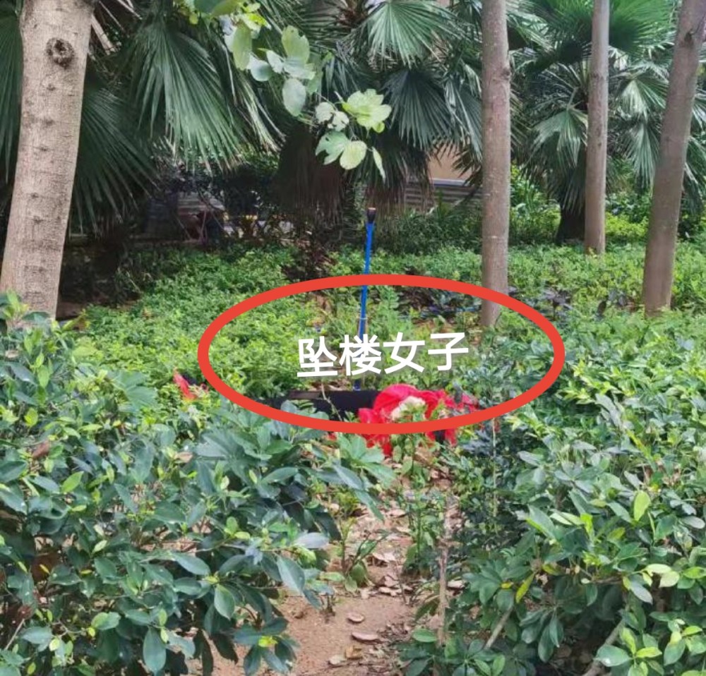 三亚"红衣女子"跳舞拍视频坠楼身亡,为了做网红丢了生命值得吗?