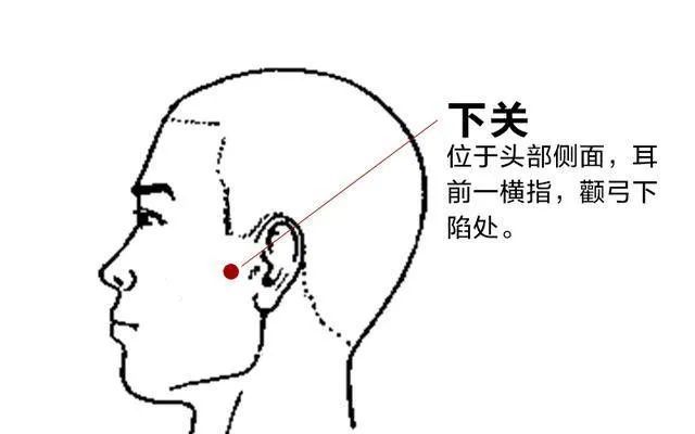 下关穴耳鸣齿痛