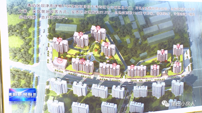 涉及玉湖/城南/秀屿