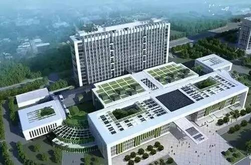 深圳再被委以重任！要成为中国最美城市