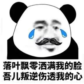 表情包动图丨搞笑表情包有字
