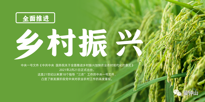 【乡村振兴】钟山县开展农民训后跟踪服务赋能乡村振兴