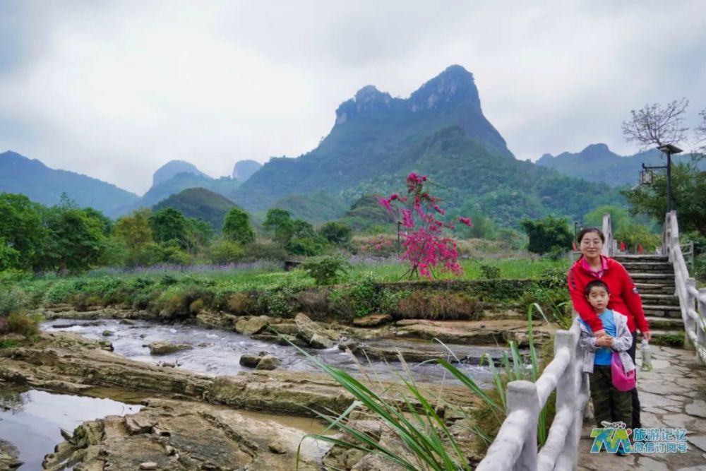 旅游见闻之老木棉景区