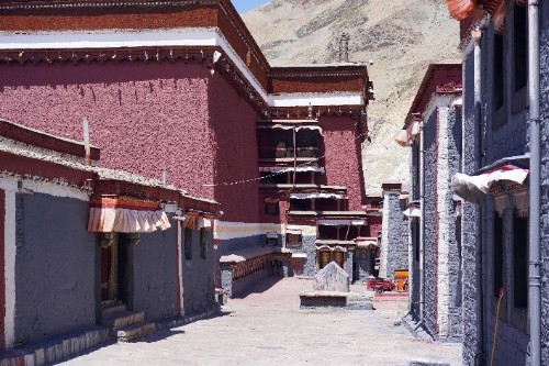 西藏萨迦县历史悠久,当地人淳朴善良,在海拔4300米种藏葱