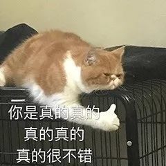 表情包:在吗,我不快乐了