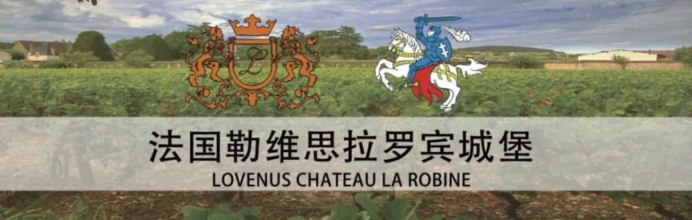 法国勒维思拉罗宾城堡lovenus chateau la robine为本届消博会红酒